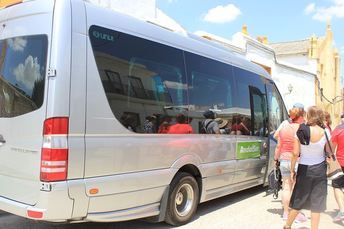 Italica Roman City Tour from Seville - The Public Baths and Roman Daily Life