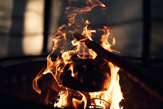 Ivalo: Aurora Hunting with Reindeer - Ivalo: Aurora Hunting with Reindeer – An Authentic Arctic Experience for Small Groups