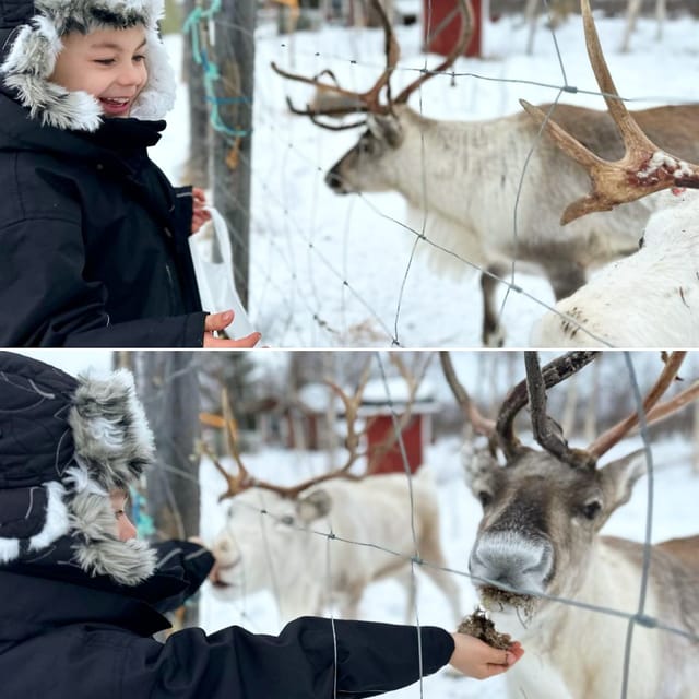 Ivalo: Ice Fishing Tour to Lake Inari, Reindeers & Lunch - What Sets This Tour Apart from Others