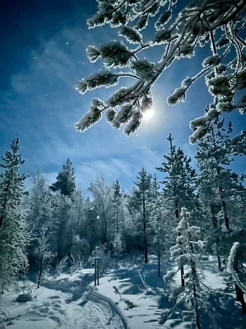 Ivalo: Private Farm Visit & Husky Experience - Warmth and Refreshments: Food and Drink in the Arctic