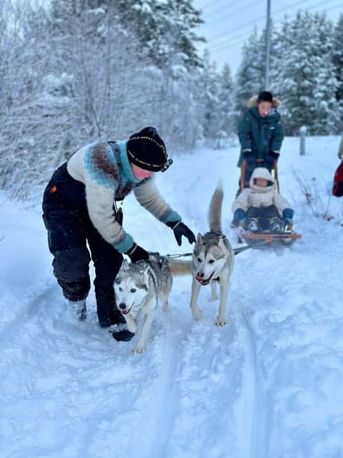 Ivalo: Private Farm Visit & Husky Experience - What Sets This Tour Apart from Similar Experiences