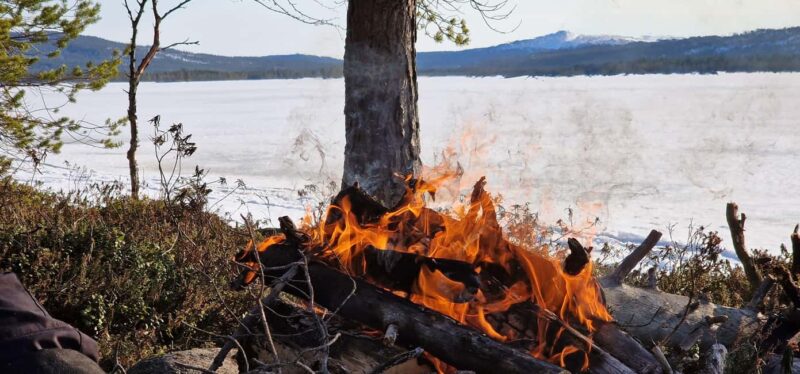 Ivalo: Private Sleighride Tour and Fishing in the Wild - Key Points