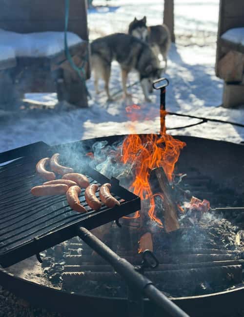 IVALO: Snowmobile Sled Ride to Wilderness - Key Points