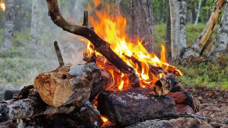 Ivalo: Wilderness Tour with Campfire Lunch - Visiting a Cultural Heritage Homestead on the Eastern Border