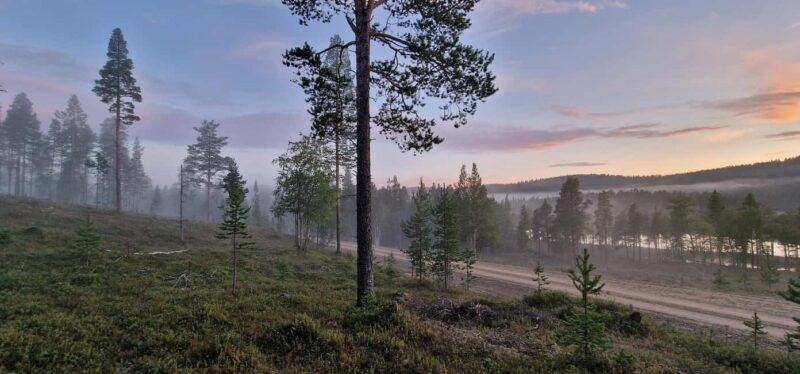 Ivalo: Wilderness Tour with Campfire Lunch - Viewing Russia from Finlands Eastern Border