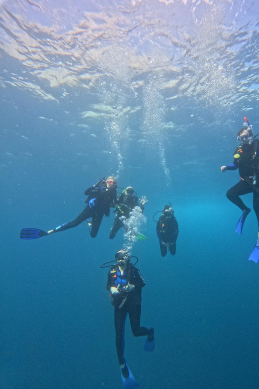 Ixtapa: Discover Diver Course - Logistics: What to Expect on the Day