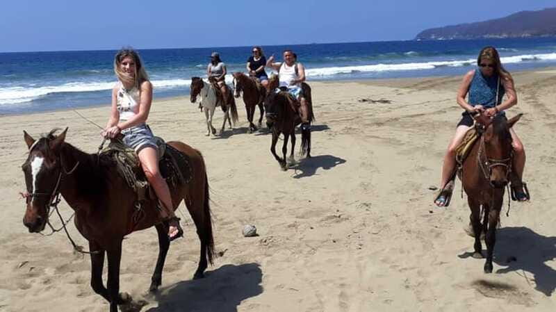 Ixtapa: Horseback Riding & Snorkeling - Wildlife & Habitat: Crocodiles and Iguanas on Land and in the Wild