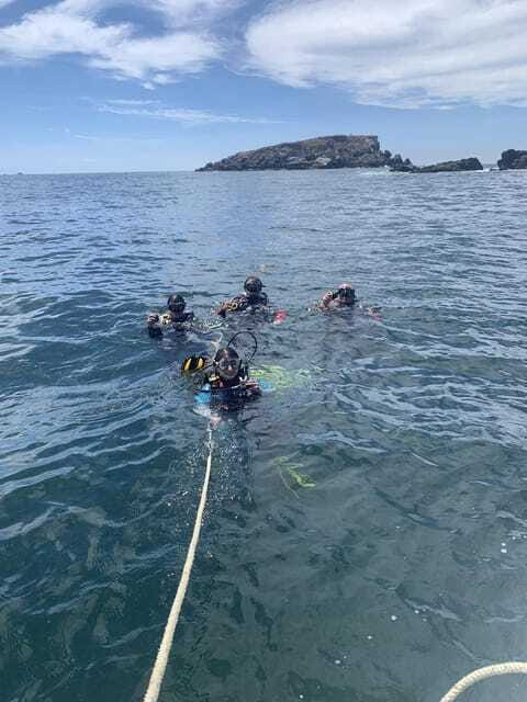 Ixtapa: Marine Life Exploration - Encountering Majestic Turtles and Rocky Islands