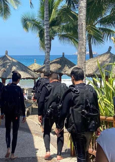 Ixtapa: Open Water Diver Course - Key Points