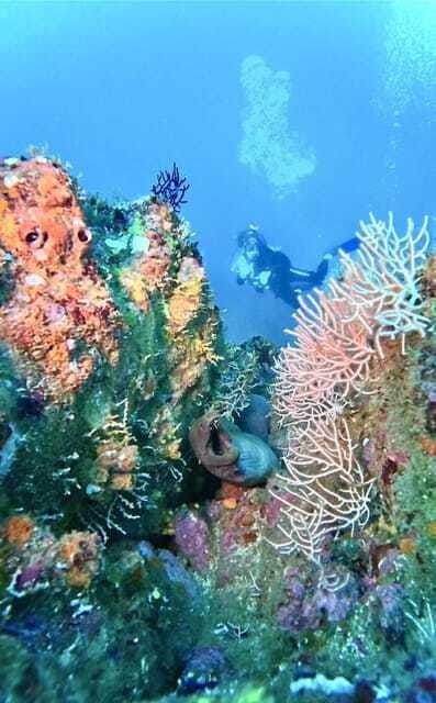 Ixtapa: Scuba Diver Course - Key Points