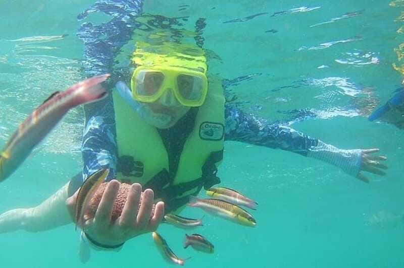 Ixtapa: Snorkeling Tour to Ixtapa Island - Tasting Fresh Seafood on the Island