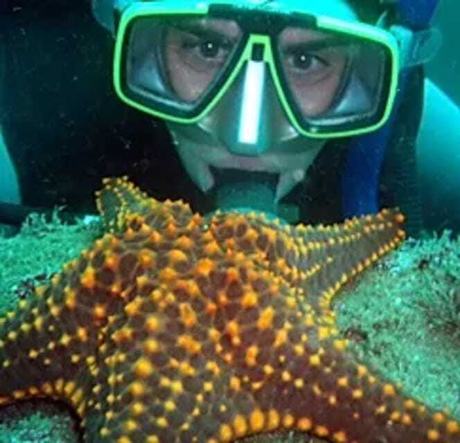 Ixtapa: Underwater Adventures in Zihuatanejo - Exploring the Coral Reefs of Ixtapa