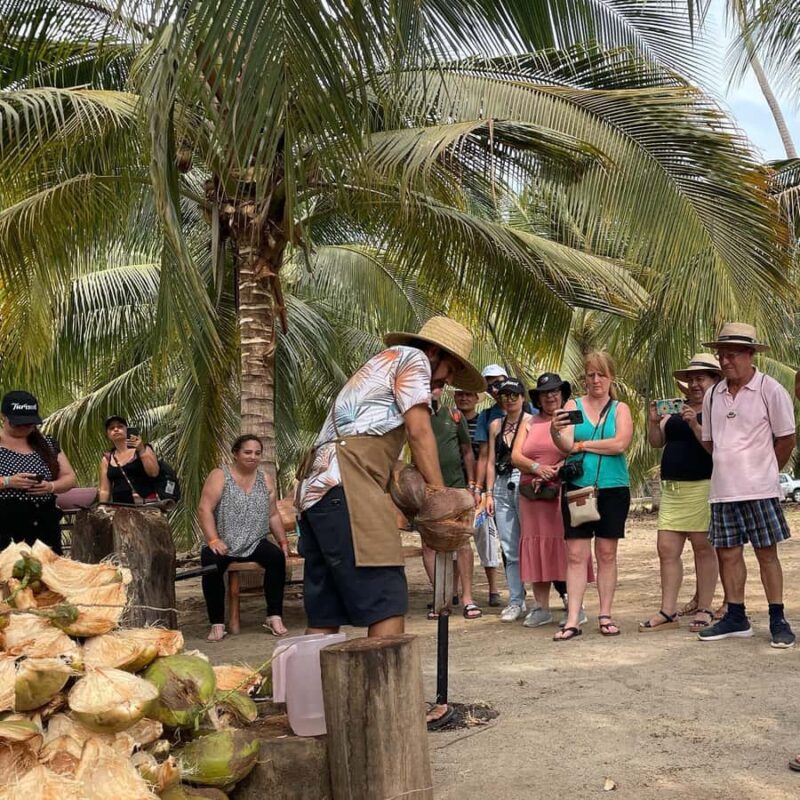 Ixtapa Zihuatanejo Archaeological Zone and Coconut Museum Tour - Key Points