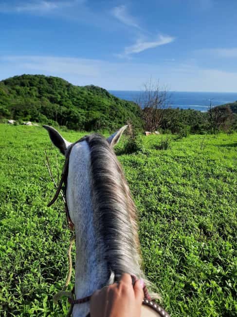 Ixtapa-Zihuatanejo: Horseback Riding Tour - Meet Your Guide at the Hotel Lobby and Begin Your Ride