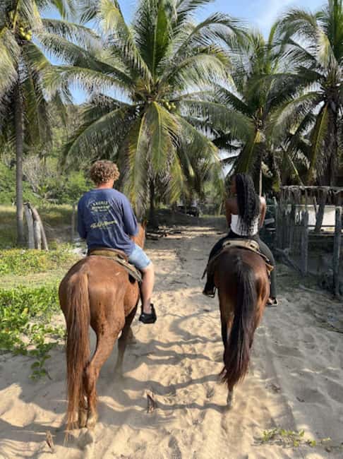 Ixtapa-Zihuatanejo: Horseback Riding Tour - Visiting a Coconut Plantation and Local Ranch Life