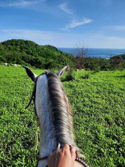 Ixtapa-Zihuatanejo: Horseback Riding Tour - Practical Details: What to Bring and Who Should Avoid This Tour