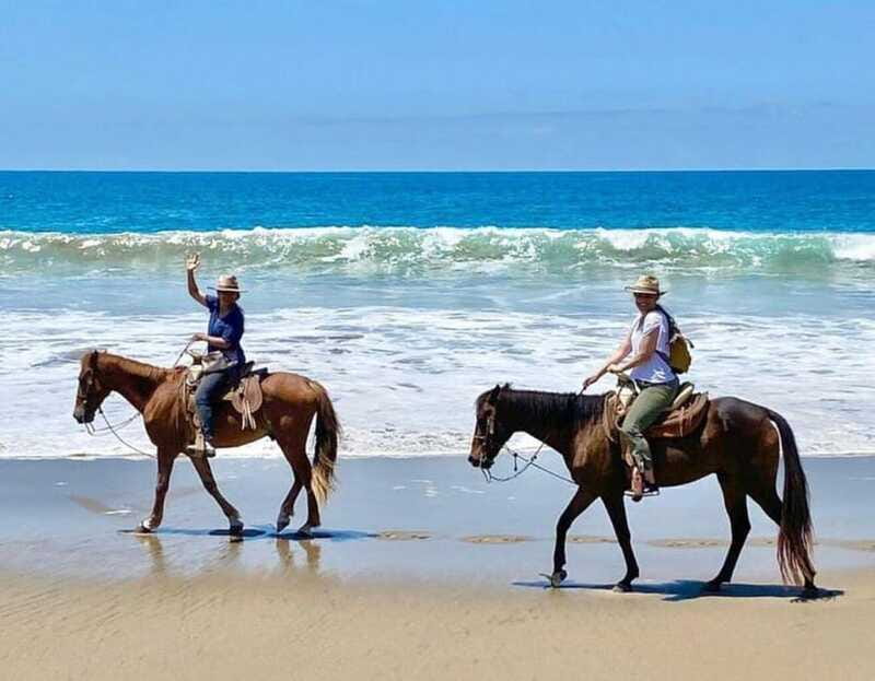 Ixtapa-Zihuatanejo: Horseback Riding Tour - Why This Horseback Riding Tour Stands Out