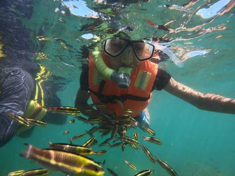 Ixtapa-Zihuatanejo: Island of Ixtapa Day Trip with Lunch - Swimming in the Protected Bay’s Calm Waters