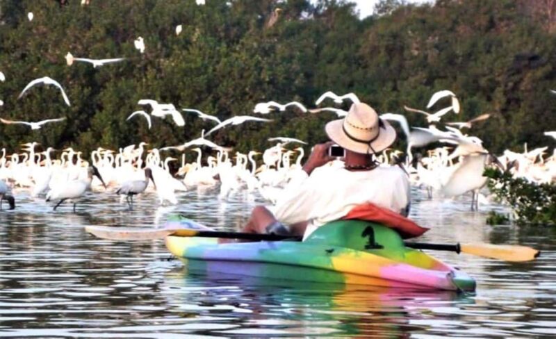 Ixtapa Zihuatanejo: Kayak Tour at Barra de Potosí - Discover the Tranquil Waters of Barra de Potosí with a 2-Hour Kayak Tour