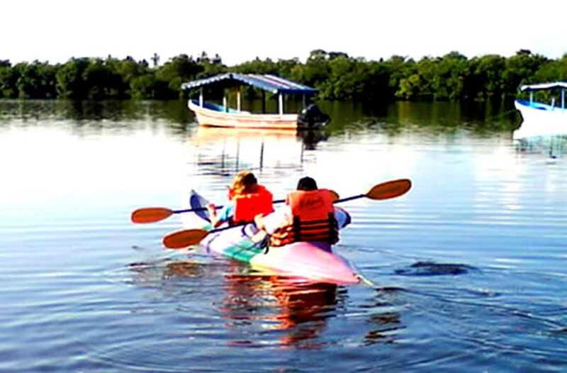 Ixtapa Zihuatanejo: Kayak Tour at Barra de Potosí - Optional Local Lunch After Kayaking
