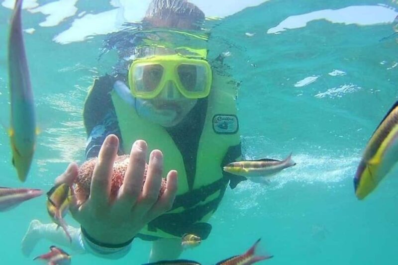 Ixtapa-Zihuatanejo: Las Gatas Beach - Key Points