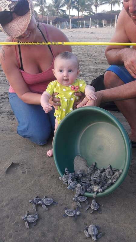 Ixtapa-Zihuatanejo: Turtle Release Tour. - Key Points