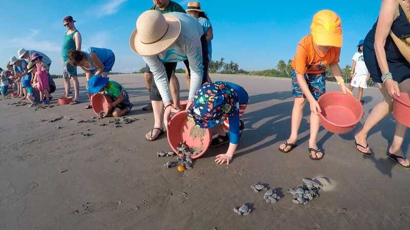 Ixtapa-Zihuatanejo: Turtle Release Tour. - Logistics and Practical Details