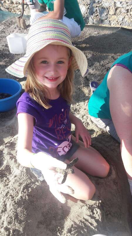 Ixtapa-Zihuatanejo: Turtle Release Tour. - Accessibility and Group Size