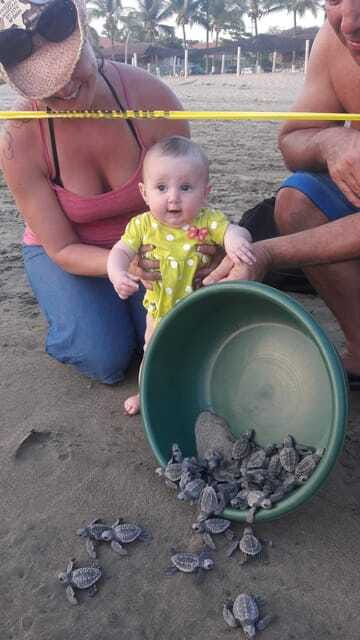 Ixtapa-Zihuatanejo: Turtle Release Tour. - The Importance of Conservation Education