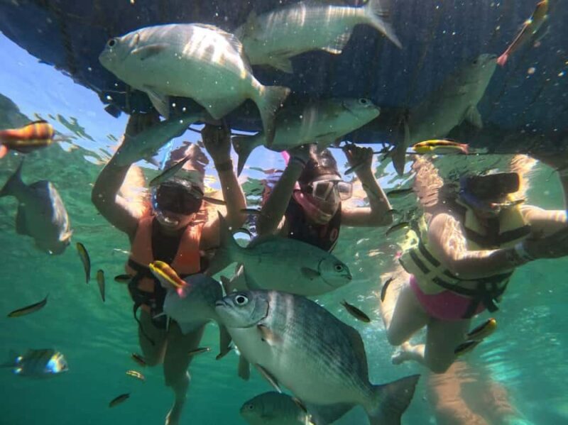 Ixtapa: Zipline and Snorkeling Adventure with Lunch - Starting Point and Transportation Logistics in Zihuatanejo