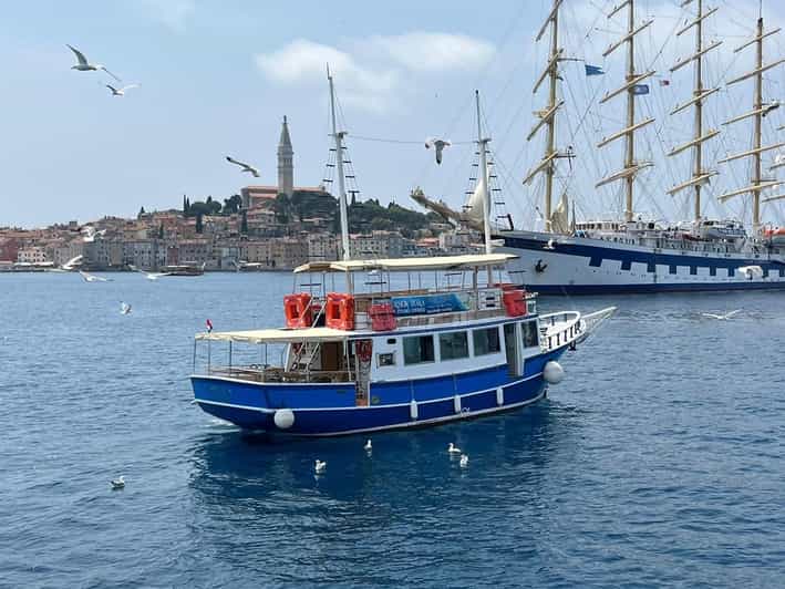 Izlet brodom iz Vrsara: Zalazak sunca i druenje s delfinima - Vrsar Dolphin Safari with Sunset and Drinks: A Unique Istrian Boat Tour