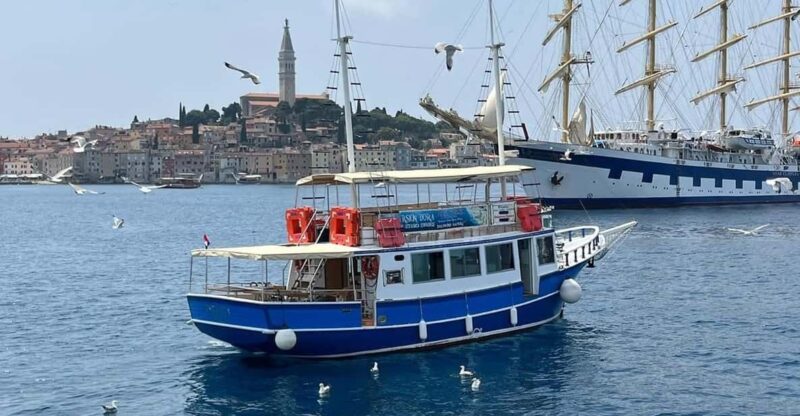 Izlet brodom iz Vrsara: Zalazak sunca i druenje s delfinima - Key Points