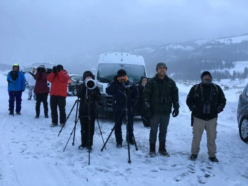 Jackson: 4-Day Grand Teton & Yellowstone Winter Tour - The Unique Appeal of This Wyoming Winter Tour