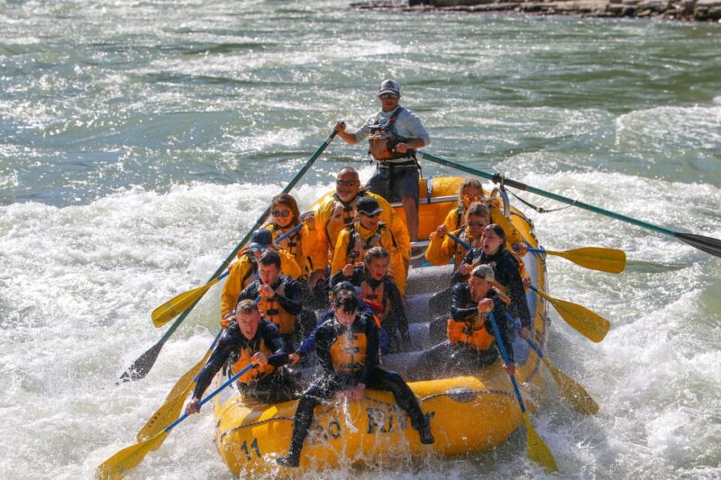 Jackson: 8-Mile Classic Boat Whitewater Rafting Trip - Safety and Suitability