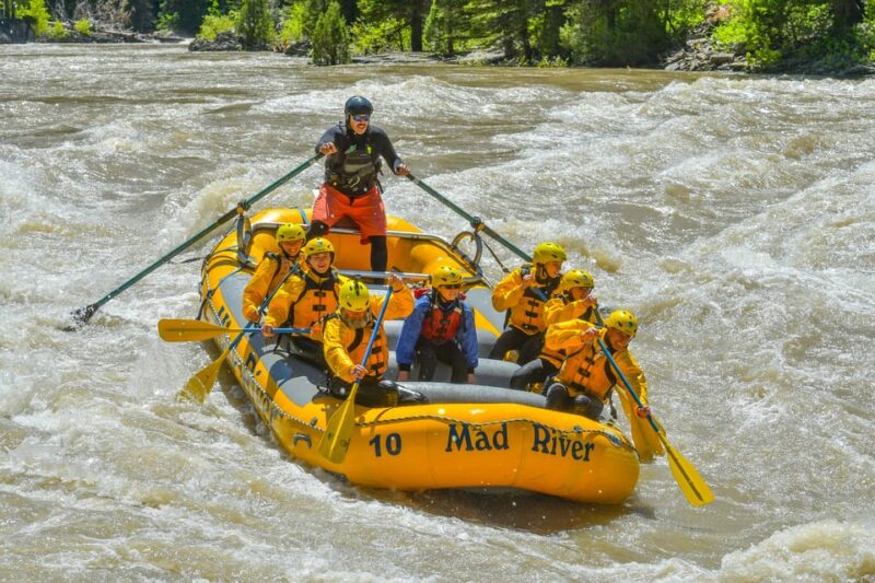 Jackson: 8-Mile Classic Boat Whitewater Rafting Trip - The Experience Provider: Mad River Boat Trips