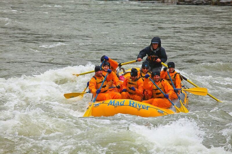 Jackson: 8-Mile Small-Boat Whitewater Rafting Trip - Starting Point and Logistics in Jackson