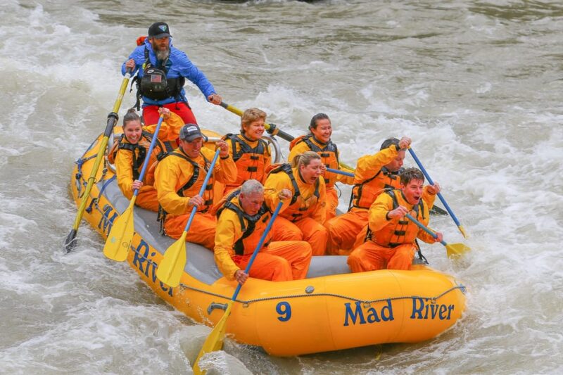Jackson: 8-Mile Small-Boat Whitewater Rafting Trip - Wildlife Encounters on the Snake River