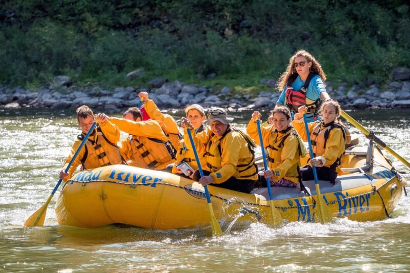 Jackson: 8-Mile Small-Boat Whitewater Rafting Trip - Value and Booking Flexibility