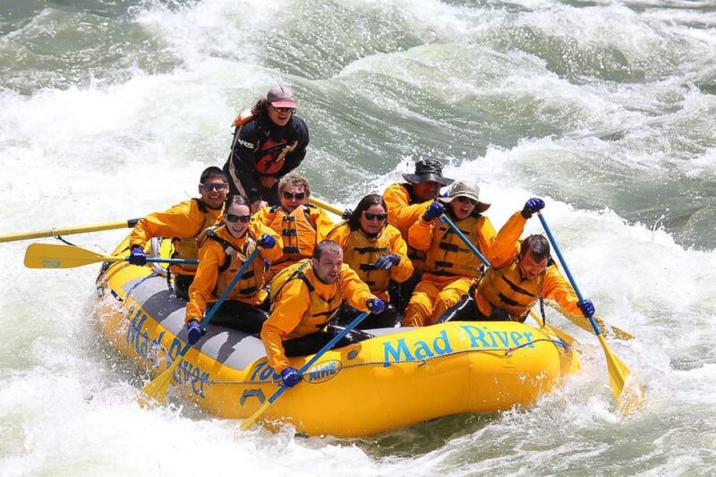 Jackson: 8-Mile Small-Boat Whitewater Rafting Trip - The Experience Provider: Mad River Boat Trips