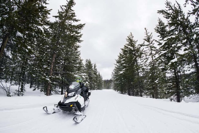 Jackson: Full-Day Snowmobile Rental with Gear & Trailer - Booking Flexibility: Reserve and Pay Later