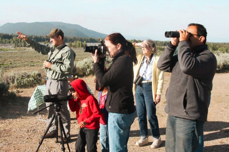 Jackson: Grand Teton National Park Guided Wildlife Tour - How the Tour Maximizes Wildlife Sightings