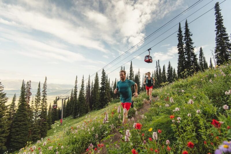 Jackson Hole: Aerial Tram and Gondolas Sightseeing - Additional Mountain Adventures with Gondola Access