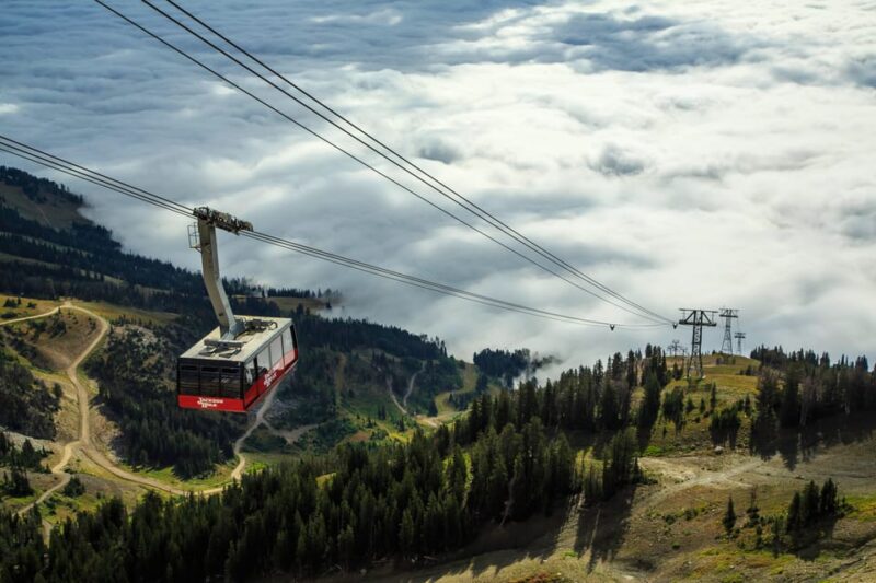 Jackson Hole: Aerial Tram and Gondolas Sightseeing - Practical Details: Meeting Point and Access