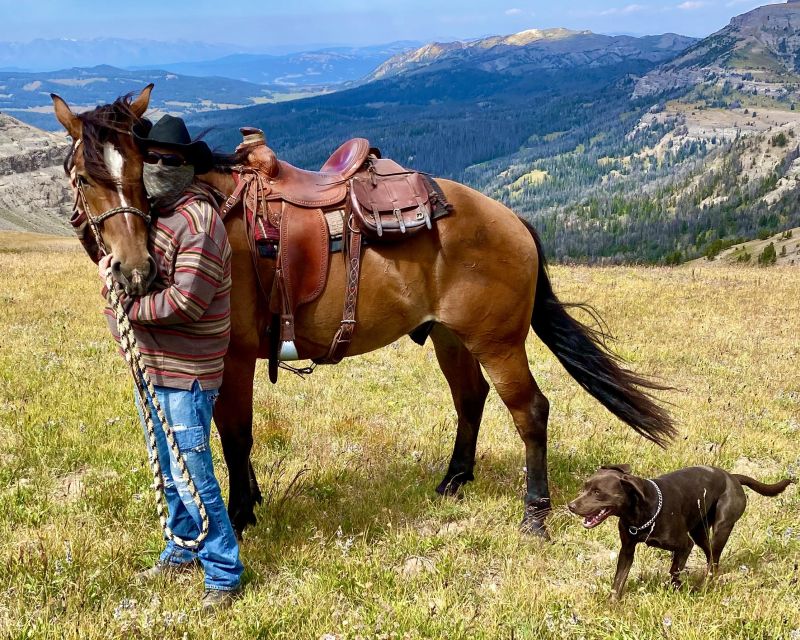 Jackson Hole: Bridger-Teton National Forest Horseback Ride - Scenic Horseback Riding in Wyoming’s Bridger-Teton Forest for $250