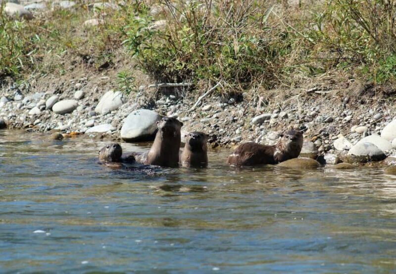 Jackson Hole: Comfortable Snake River Float Trip - The Scenic Route Along the Snake River