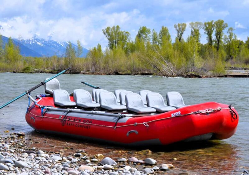 Jackson Hole: Comfortable Snake River Float Trip - Easy Logistics: Meeting Point and Transportation