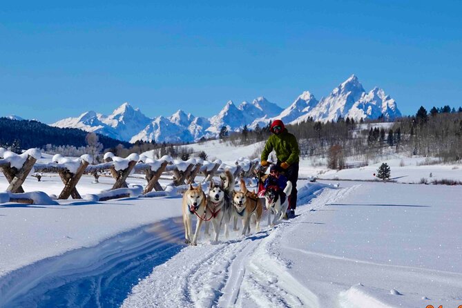Jackson Hole Dog Sledding Adventure - Jackson Hole Dog Sledding Adventure: An Authentic Winter Ride for All Ages