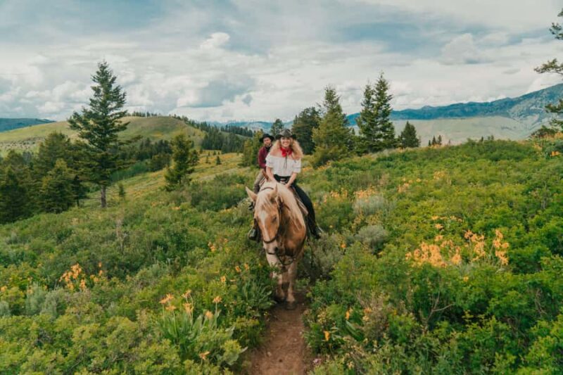 Jackson Hole: Moose Meadow Horseback Tour with Breakfast - Breakfast at a Picturesque Spot in the Wilderness