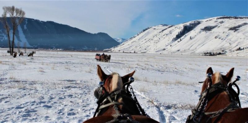 Jackson Hole: National Elk Refuge Sleigh Ride - Meeting Point and Logistics