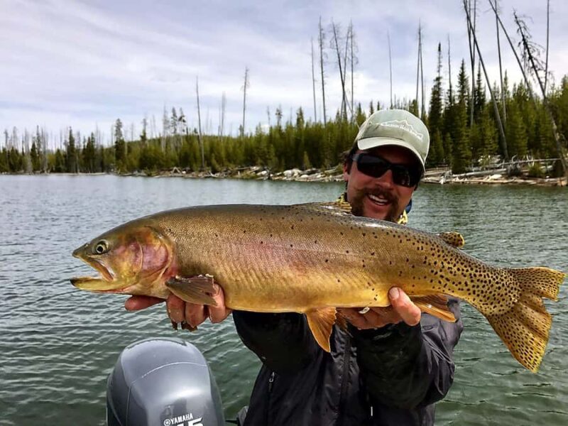 Jackson Hole: Private Fly Fishing Trip with Guide - Enjoy a Fully Private Float on the Snake River